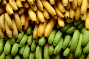 Bananas for Baby Sign